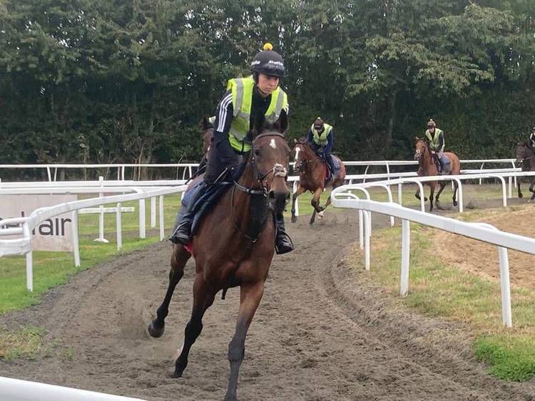 STABLE TOUR: Reigning champion trainer Paul Nicholls