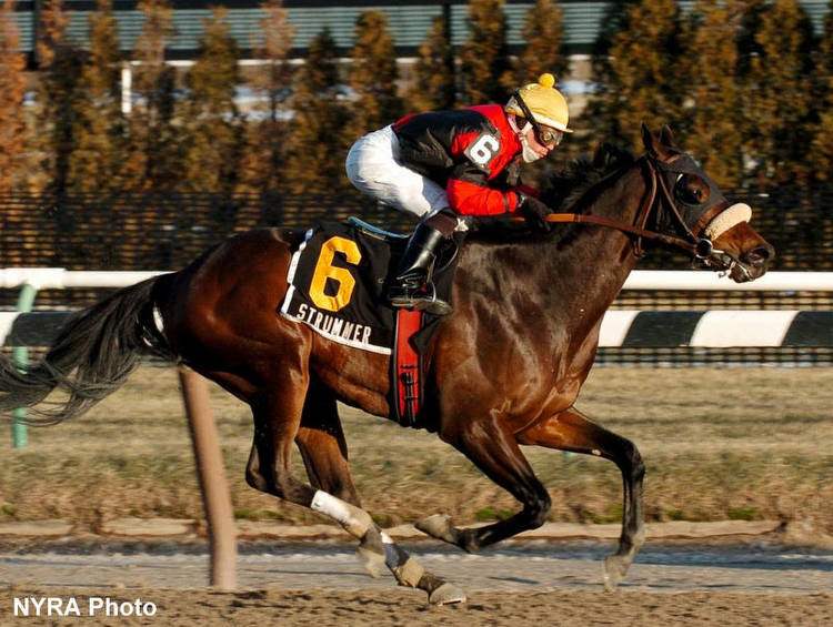 Stakes Winner Strummer Thriving As Cabin Creek Ambassador For Retired Racehorses