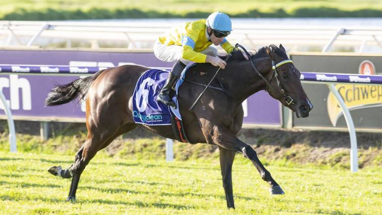 Star filly Super Smink creates history with explosive Sires’ Produce Stakes win at Ascot