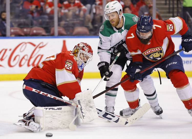 Stars vs. Panthers Prediction, Line, Picks, and Odds