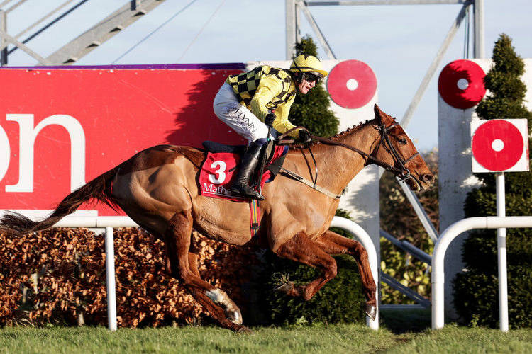 State Man and Gaillard Du Mesnil claim big wins for Mullins on final day at Leopardstown