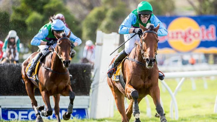 Steve Pateman ready for bumper week at Warrnambool carnival