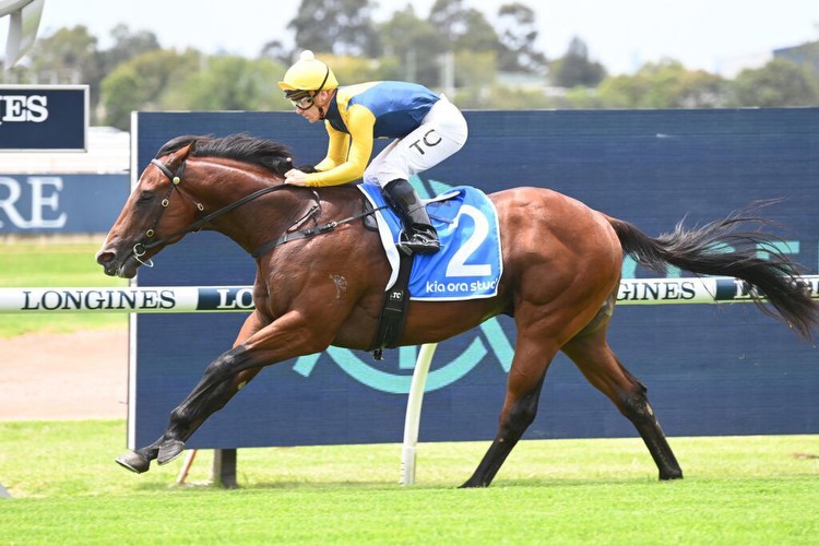 Storm Boy, Eneeza towards head of 2YO class