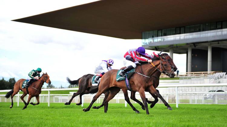 Sunday's horse racing tips: Eamonn Hames' best bets for the Irish St Leger card at the Curragh