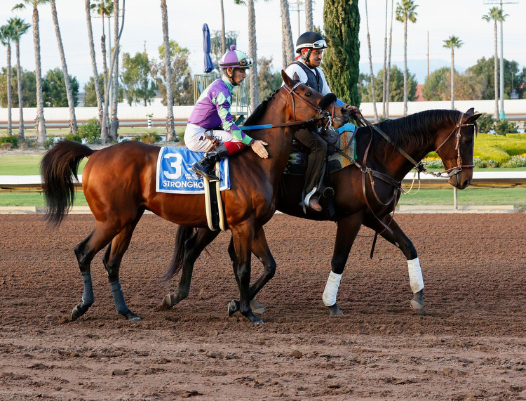 Sunland Derby 2024 [Kentucky Derby]