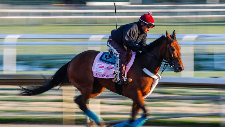 Sunland Oaks winner Flying Connection seeks win in Kentucky Oaks