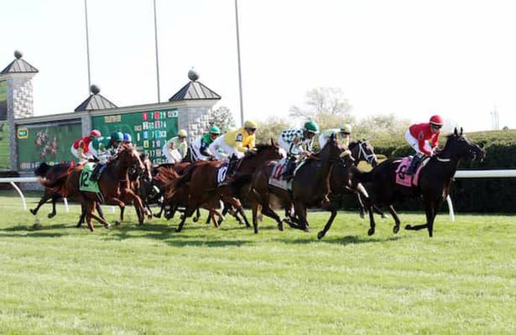 Super Screener: 10-1 value play in the Keeneland Turf Mile