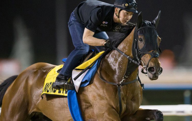 Superb field takes on Almond Eye in a contender for ‘race of the year’