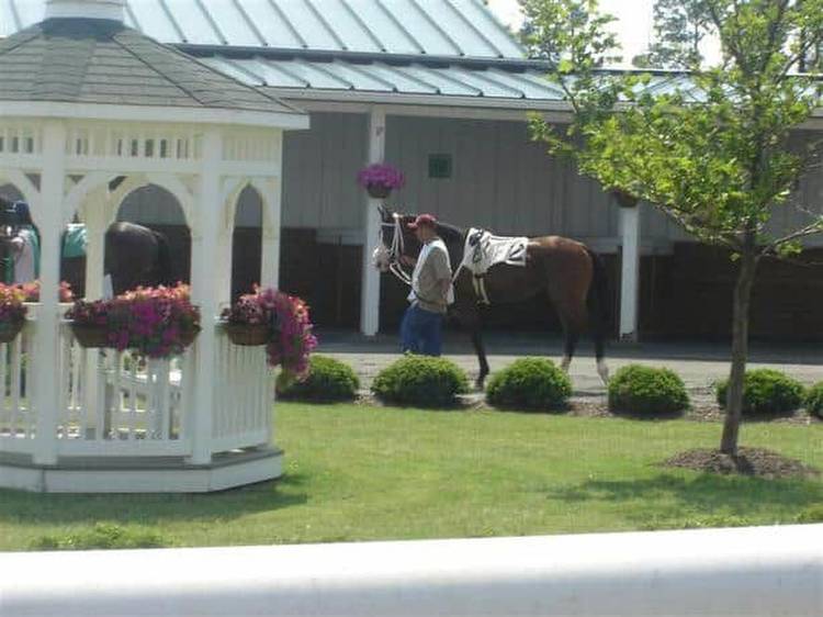 Superfecta keys: Bet these 4 at Saratoga, Colonial Downs