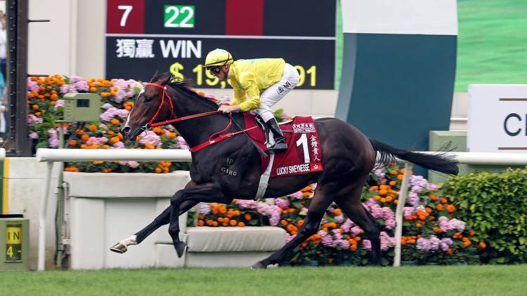 Superstar Hong Kong sprinter Lucky Sweynesse is an unlikely raider for The Everest