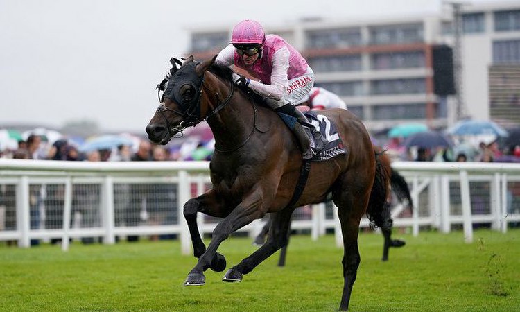 Sweet William guaranteed Ebor run