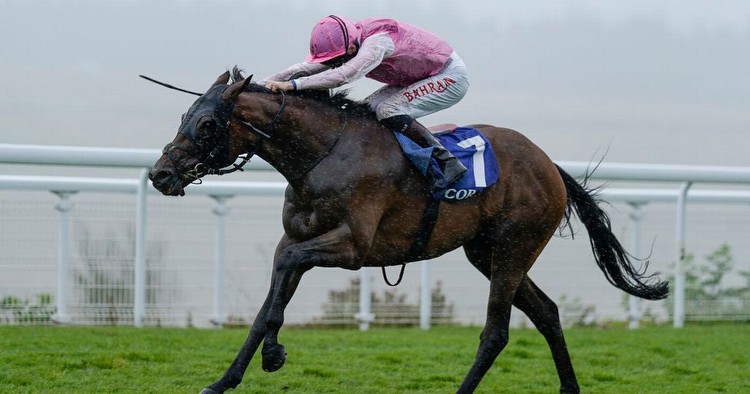 Sweet William: Remarkable comeback tale of horse now favourite for £500k York handicap