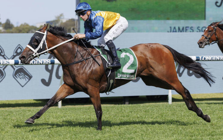 Sydney raider heads odds in the Railway Stakes