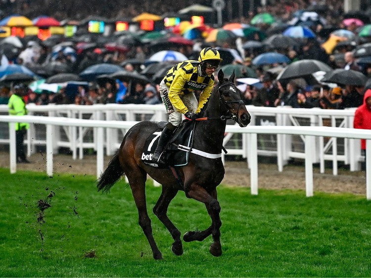 Talking points and tips ahead of Day 3 at Cheltenham