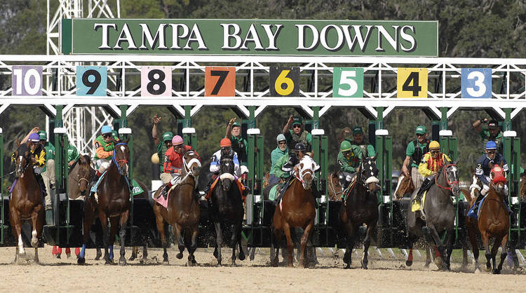 Tampa Bay Downs Picks & Free Handicapping on Thursday June 30