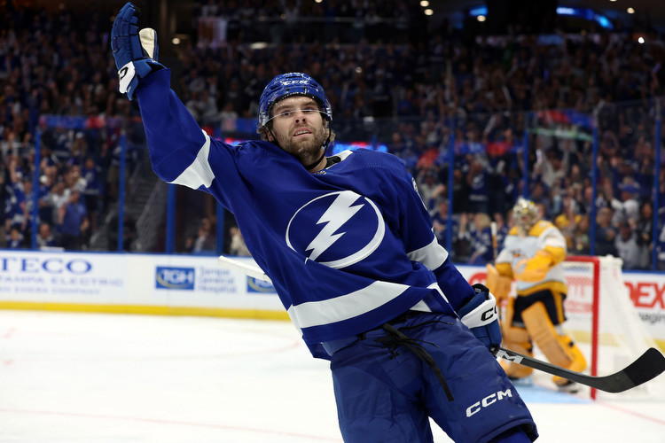 Tampa Bay Lightning vs St. Louis: Preview, Matchups, Odds 11/14/23