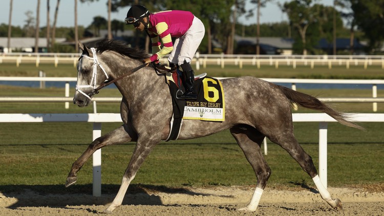 Tapit Trice wins Tampa Bay Derby, earns Kentucky Derby points