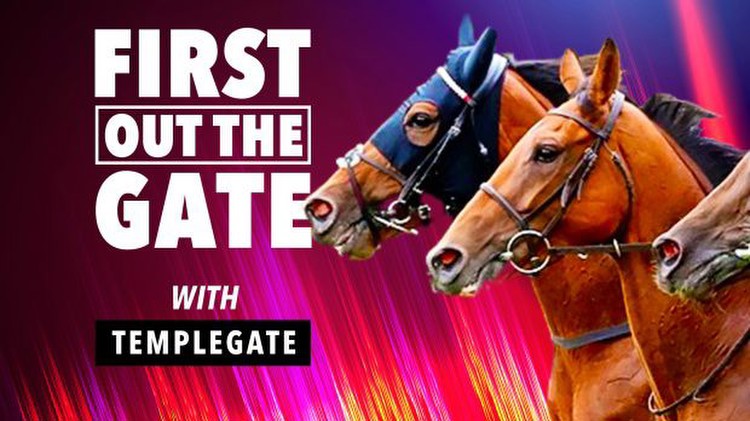 Templegate kicks off brand new tipping column with huge 16-1 pick he's certain can win Saturday's big race at Haydock