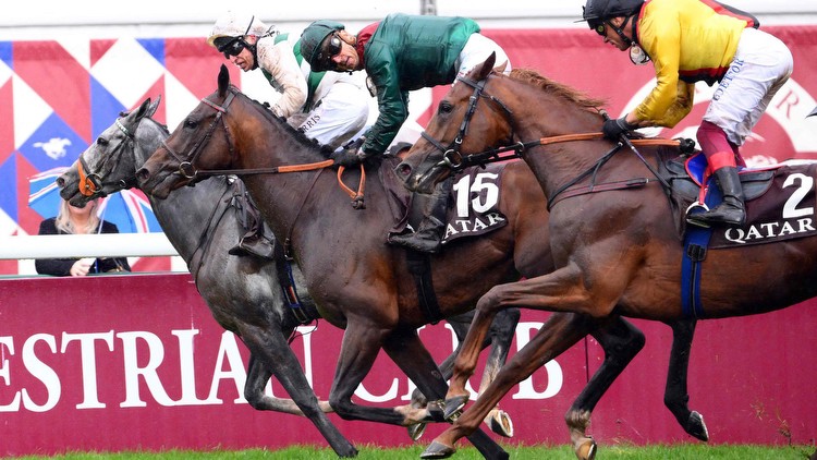 Templegate's 9-1 Arc de Triomphe tip has absolutely hammered top-class rivals on past two runs