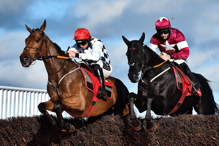 Templegate's Tote Placepot picks for Cheltenham's November Meeting day one on Friday