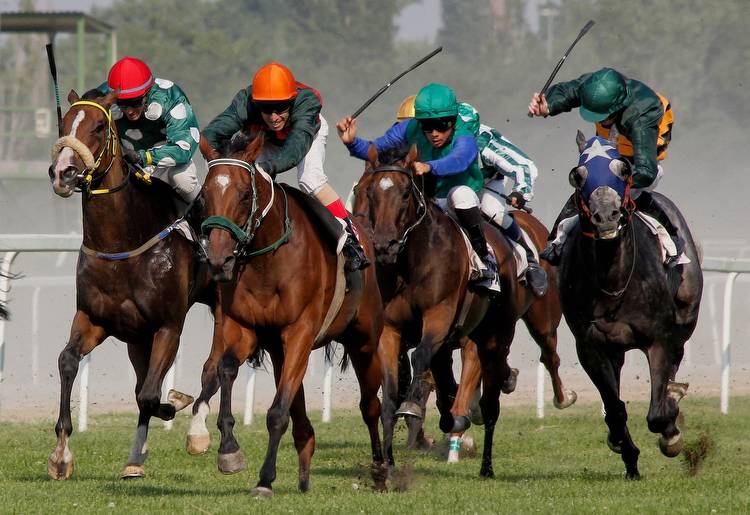 The 2023 Horse Racing Calendar