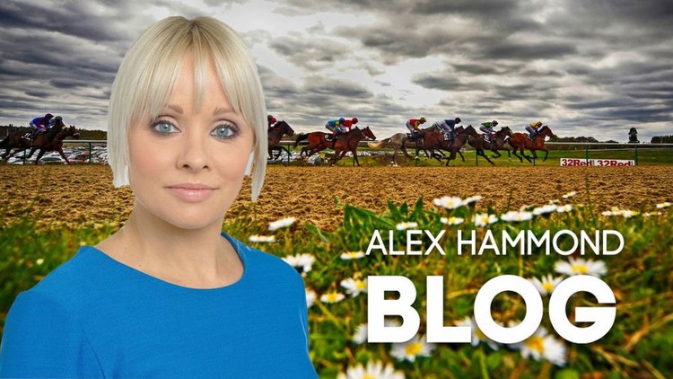 The Alex Hammond Blog