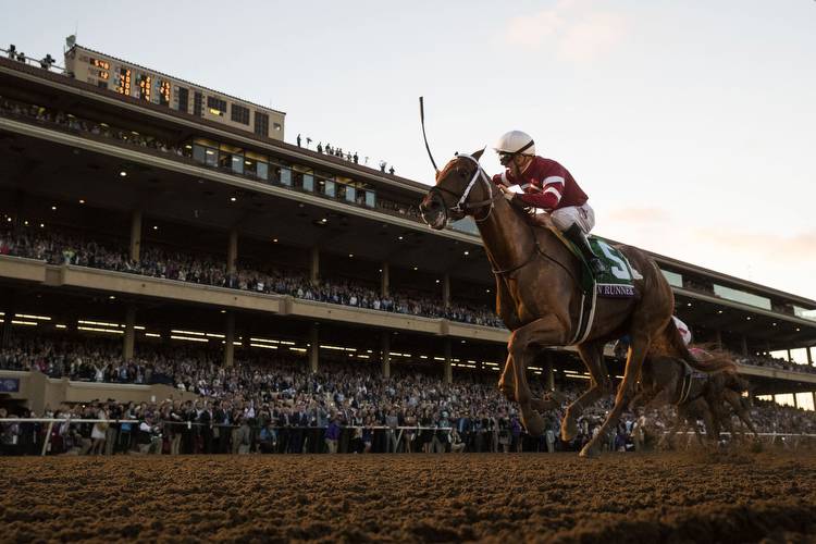 The Breeders' Cup gallops back to Del Mar in 2024