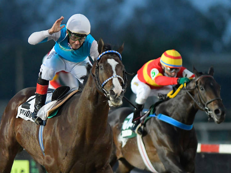 The Breeders’ Cup of Argentina