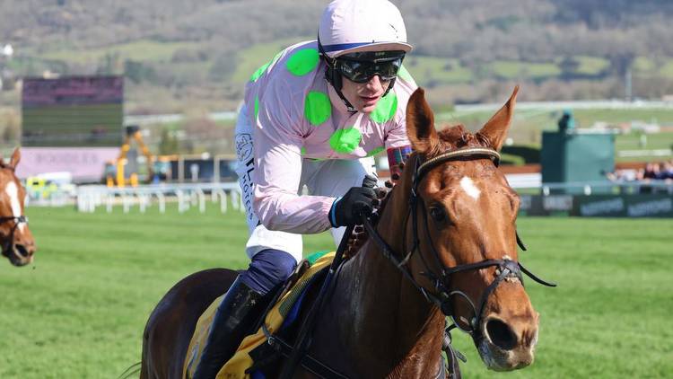 The dream team: David Jennings assesses Willie Mullins' chances at Royal Ascot next week