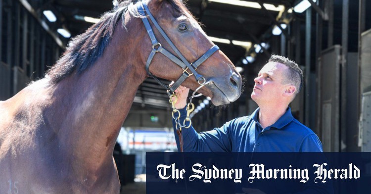 The Everest: Joe Pride wants luck on his side after perfect preparations