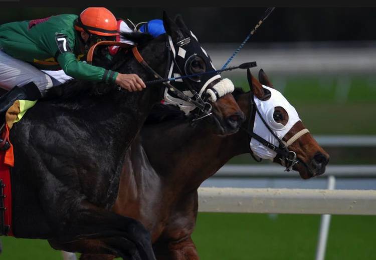 The GOATs of Australian Horse Racing