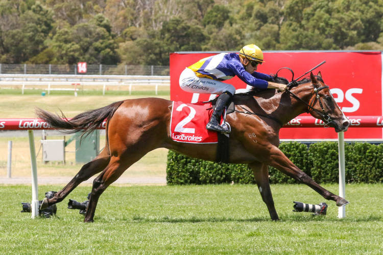 The Instructor leads rivals in Blue Diamond Preview