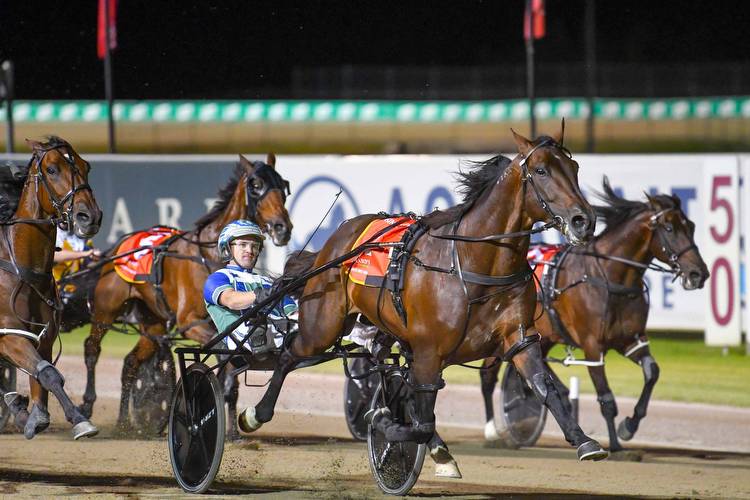 ‘The King’ crowned Australian Harness Horse of the Year