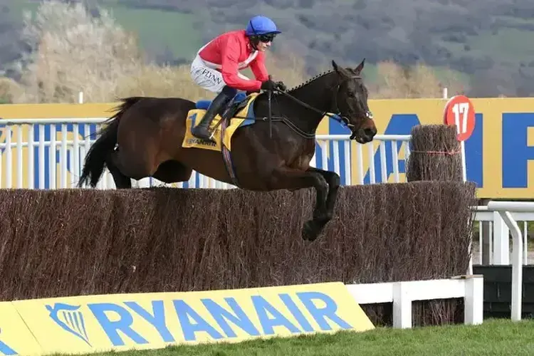 The Last Five Winners Of The Cheltenham Gold Cup
