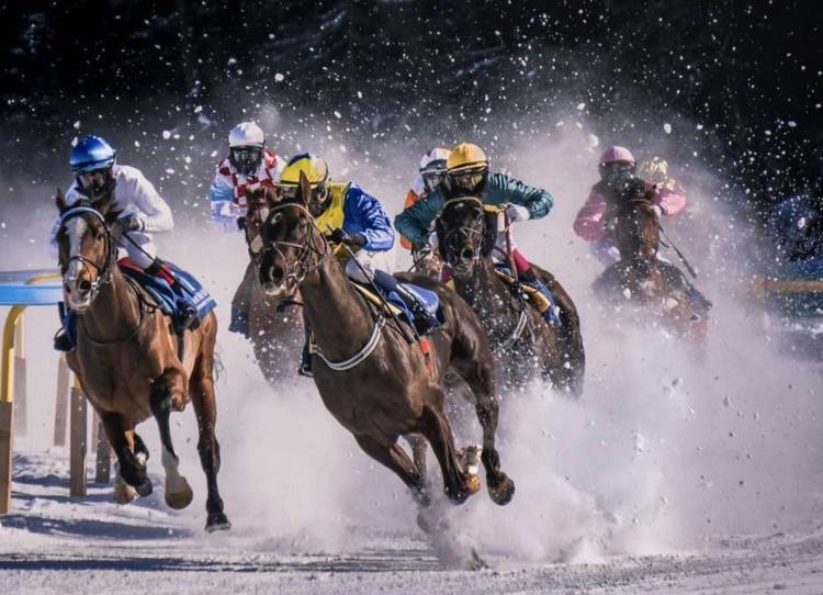 The Middle East's Most Remarkable Horses