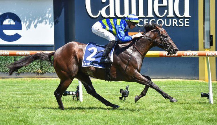 Generation, ridden by Jye McNeil, wins the Manfred Stakes (Image: Racing Photos)