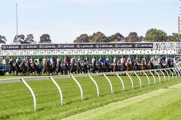 This barrier has won the most Melbourne Cups