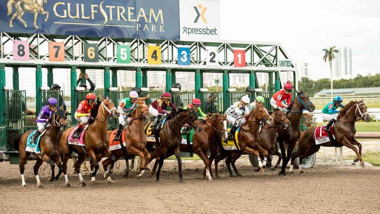 This week in horse racing: spotlight on Gulfstream over New Year's Eve weekend