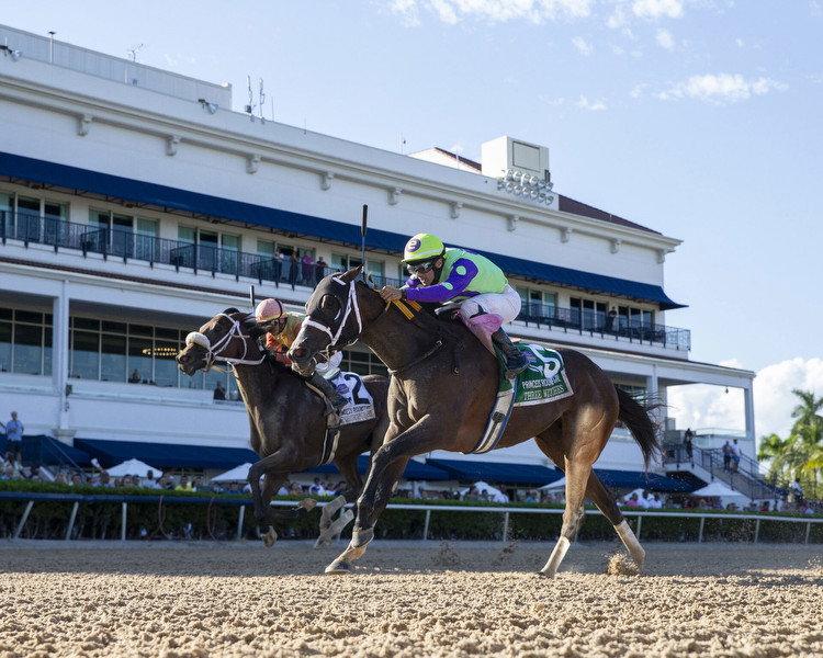 Three Witches Wins 2nd Straight, Breeders' Cup Next