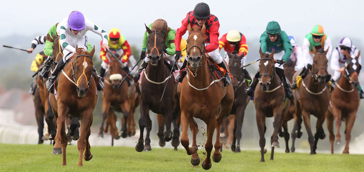 Thursday horse racing tips: Dave Nevison’s best bets for Carlisle