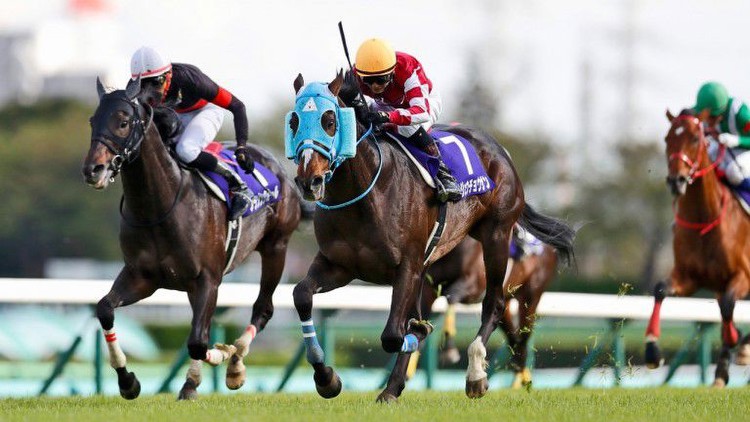 Tiger Roll eat your heart out! Jumper in Japan takes earnings past £5.7 million