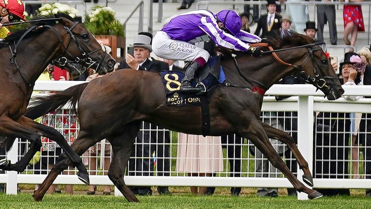 Tips and best bets for the second day of the 2023 Royal Ascot carnival