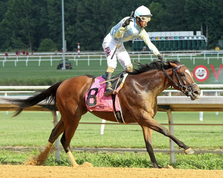 Titoschangedmyluck, Simply Super win Colonial stakes * The Racing Biz