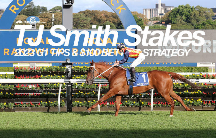 TJ Smith Stakes Tips, Form & Betting Strategy
