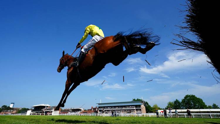 Today on Sky Sports Racing: Light N Strike tops strong seven for Newton Abbot feature on Wednesday