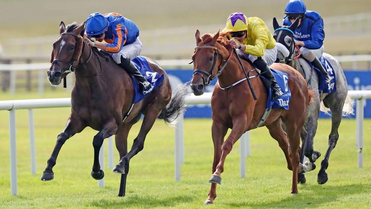 Today's York Yorkshire Oaks betting preview: Latest runners, riders, odds and trainer quotes for the final field