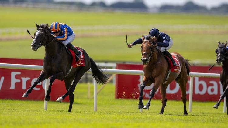 Tom Segal: why Ballydoyle may have a better Arc prospect than Auguste Rodin