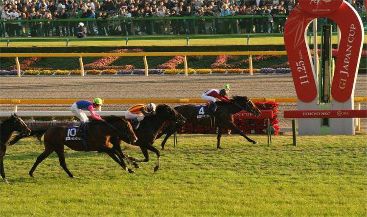 Top 3 Biggest Horse Races in Asia