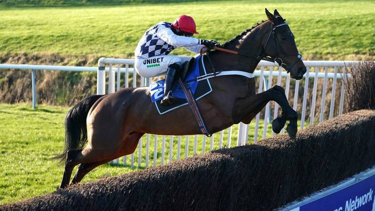Top-class entry for Sky Bet Chase at Doncaster January 28
