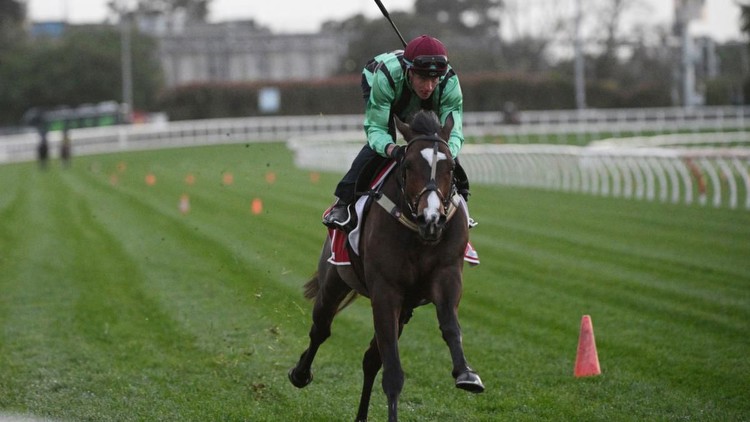 Top jockey James McDonald drops to rare weight as he hunts first Caulfield Cup victory